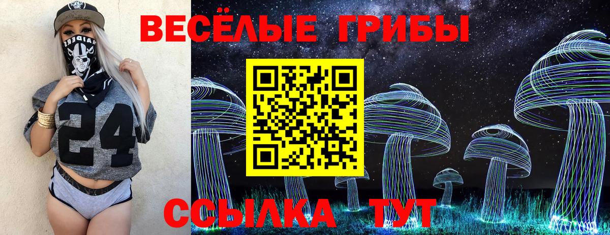 Галлюциногенные грибы Psilocybine cubensis Лесозаводск