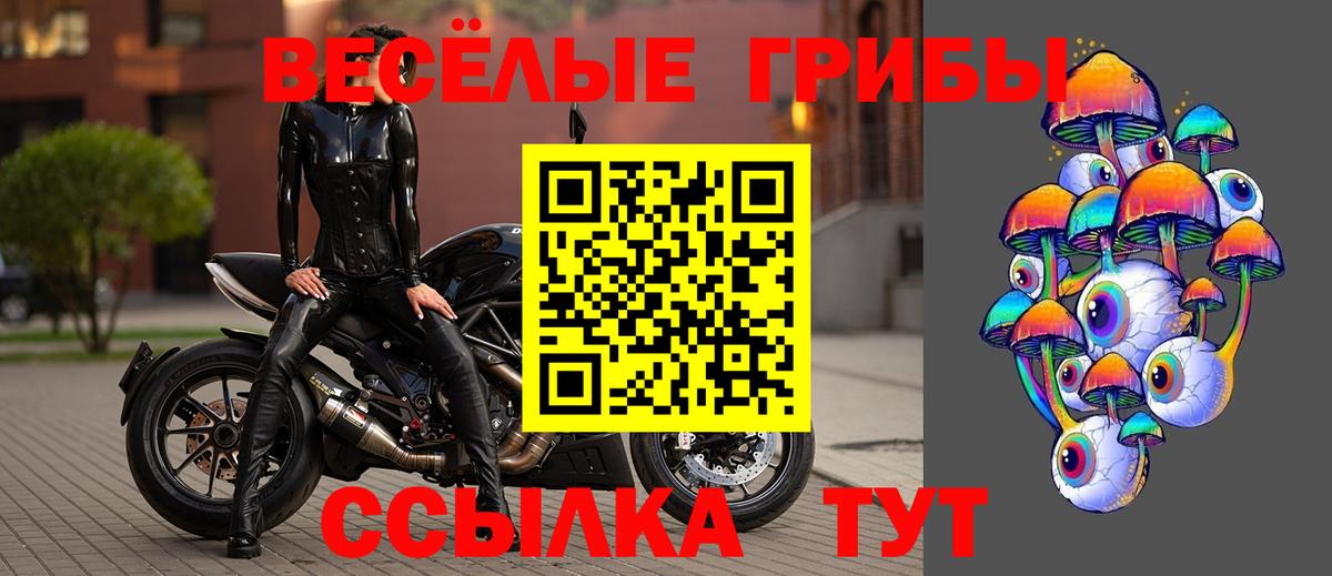 Лесозаводск  Псилоцибиновые грибы Psilocybine cubensis  Галлюциногенные грибы мухоморы  Вход с VPN 